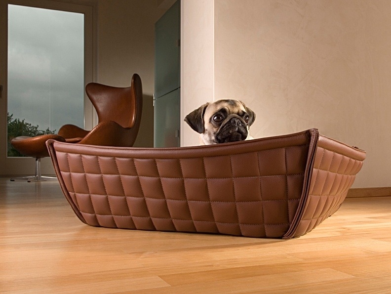 Choosing The Right Dog Bed For Your Pit Bull Terrier
